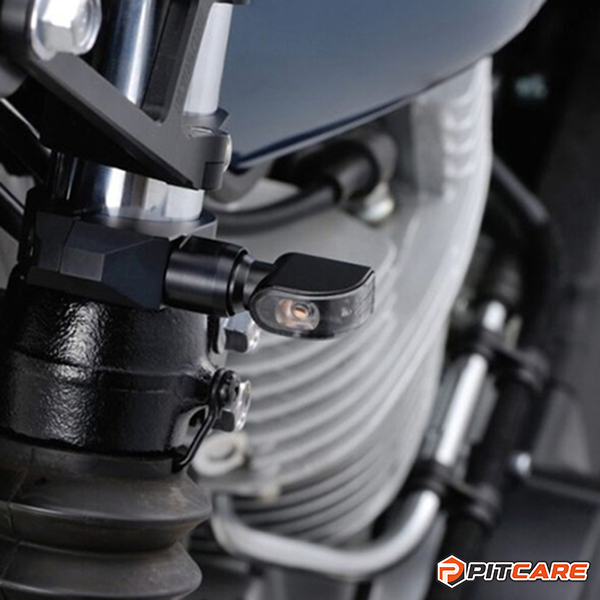 xi-nhan-daytona-d-light-min-3.jpg